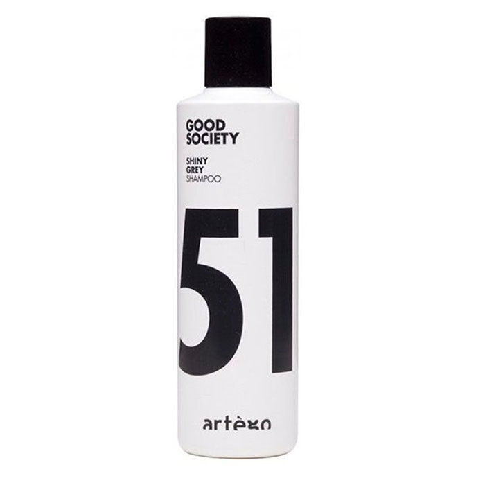 

Шампуни Artego, Шампунь Artego Shiny Grey 51 против желтизны 250 мл
